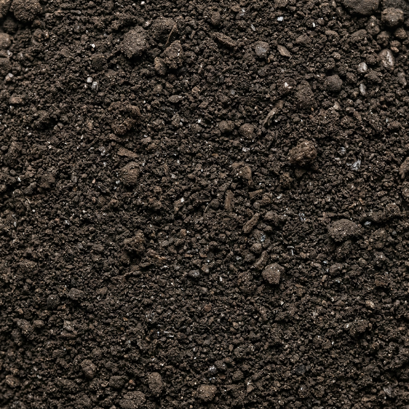 šiladžit